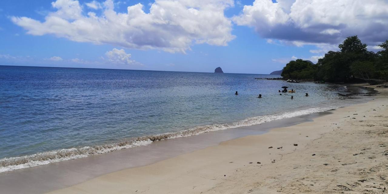 La Perle Piscine Et Plage Petite Vue Mer سانت لوسي المظهر الخارجي الصورة