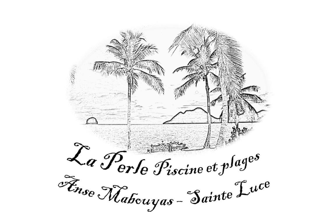 La Perle Piscine Et Plage Petite Vue Mer سانت لوسي المظهر الخارجي الصورة